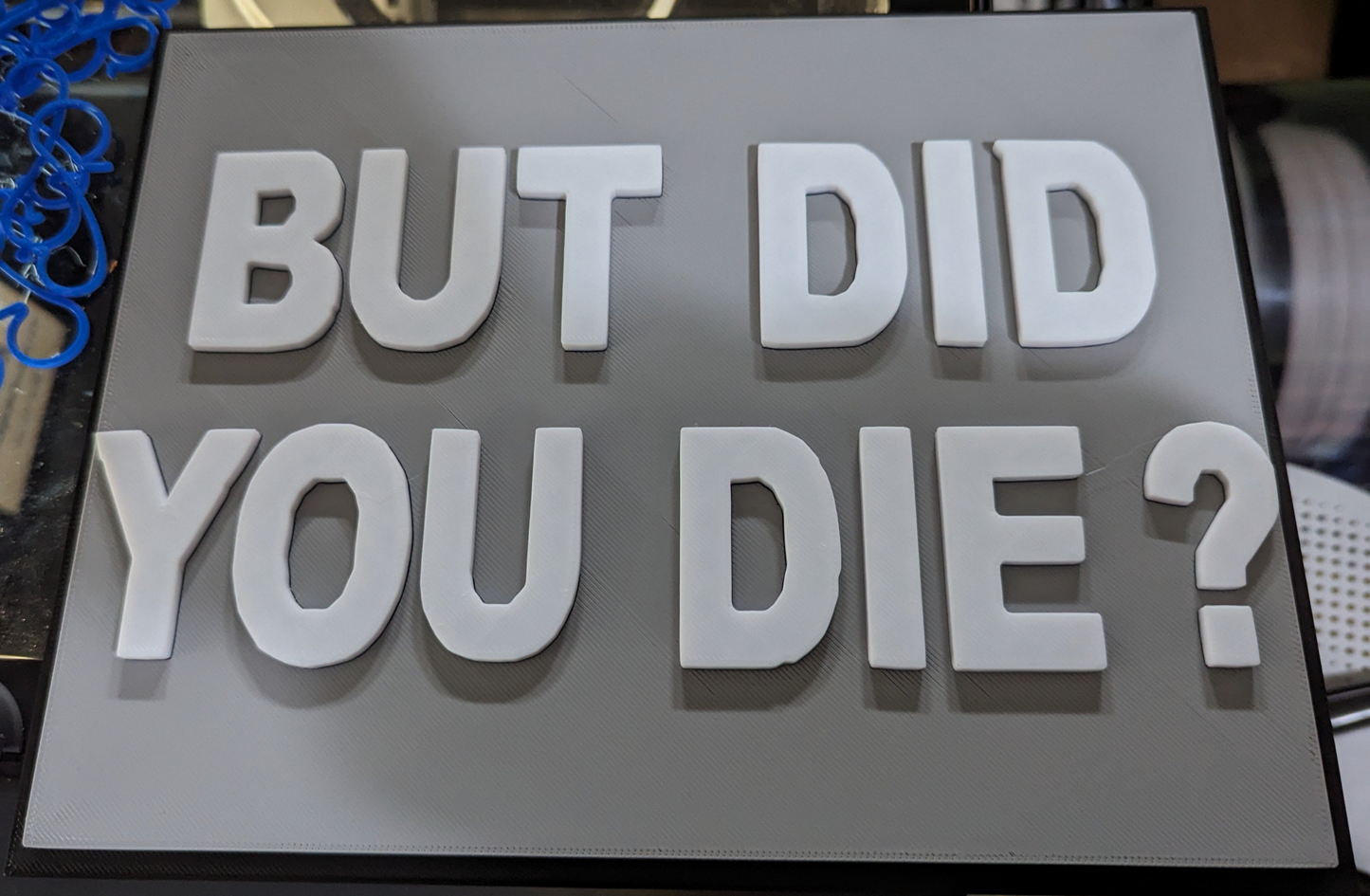 But Did You Die Plaque