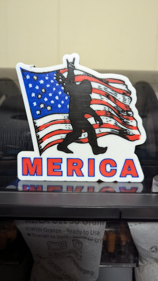 'Merica Coaster